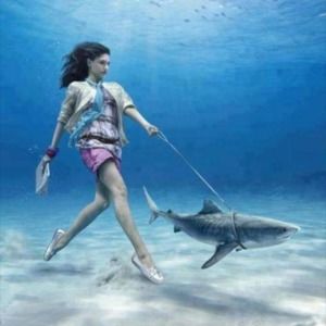 Meet your Posher, Fallon